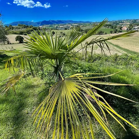 2 In Stunning Grounds Panoramic Views Around Sleeps 4 ヴィラ スポレート